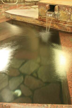 Imagen general del Hotel Kashiwaya, Chikuma. Foto 13