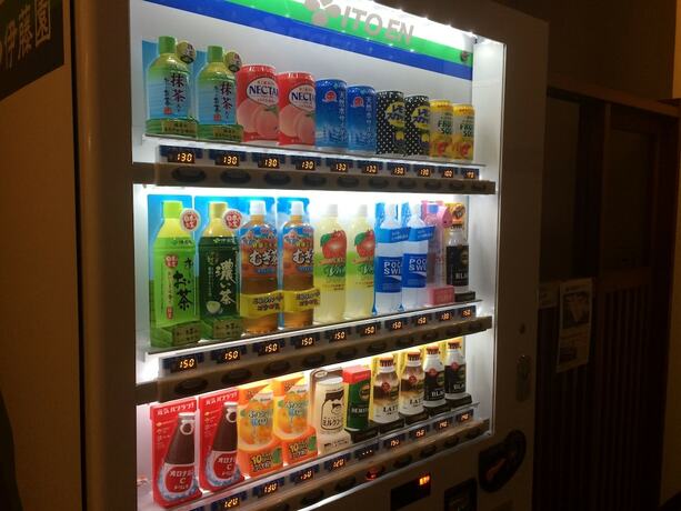 Imagen general del Hotel Kashiwaya, Chikuma. Foto 18