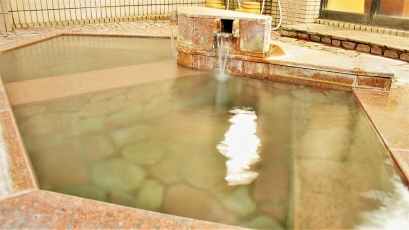 Imagen general del Hotel Kashiwaya, Chikuma. Foto 1