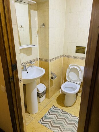 Imagen de la habitación del Hotel Kashtan. Foto 19