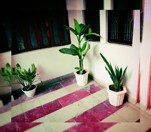 Imagen de los interiores del Hotel Kashyaam Inn. Foto 10