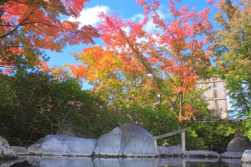 Imagen general del Hotel Kasuga No Mori. Foto 3