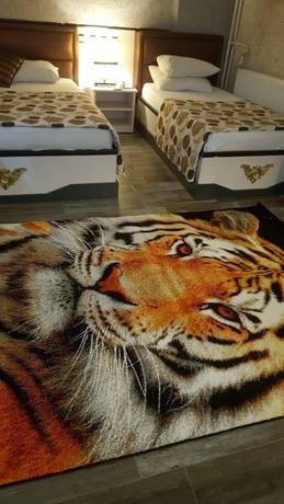 Imagen de la habitación del Hotel Katan. Foto 6