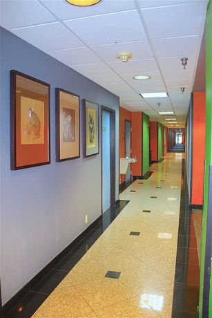 Imagen de los interiores del Hotel Katerina, Orlando. Foto 14