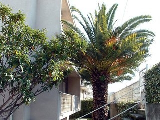 Imagen general del Hotel Katija Apartamenti. Foto 5