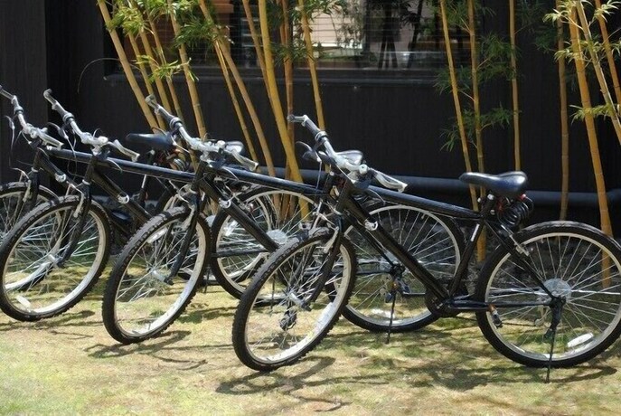 Imagen de los interiores del Hotel Katsuragi. Foto 22