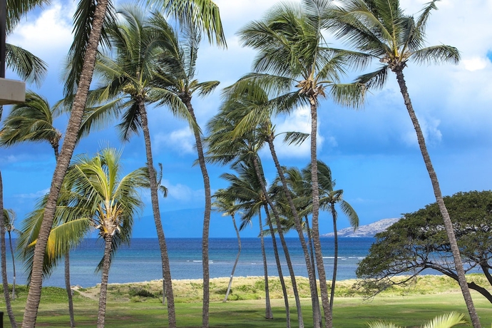 Imagen general del Hotel Kauhale Makai - Maui Condo and Home. Foto 1