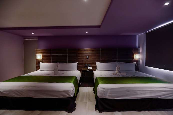 Imagen de la habitación del Hotel Kavia. Foto 4