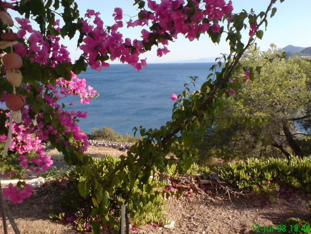 Imagen del bar/restaurante del Hotel Kavos Bay Seafront. Foto 5