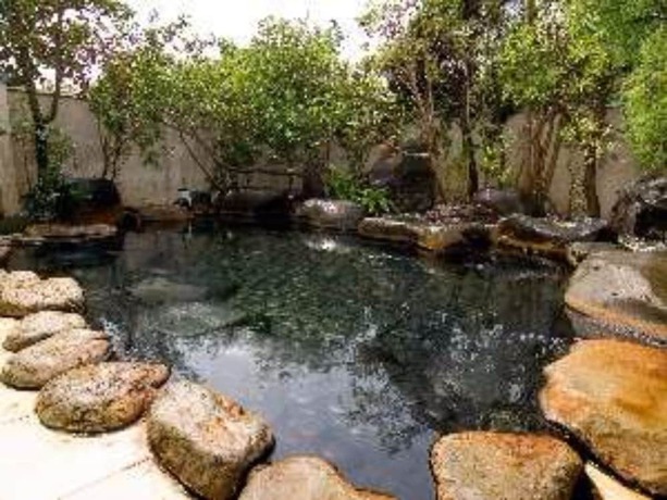Imagen de la piscina del Hotel Kawachiya. Foto 13