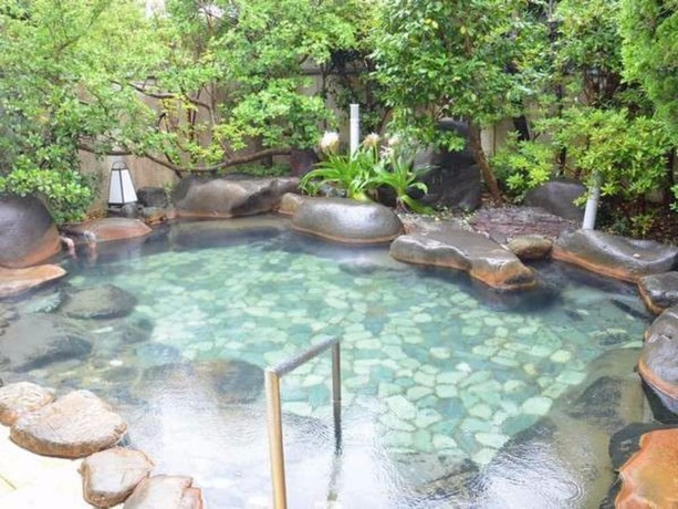 Imagen de la piscina del Hotel Kawachiya. Foto 14