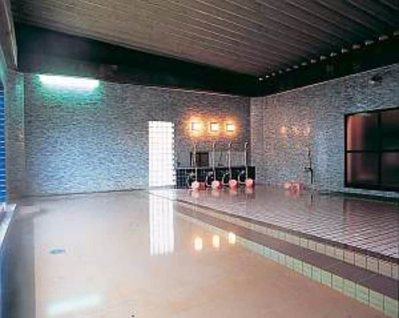 Imagen de la piscina del Hotel Kawachiya. Foto 15