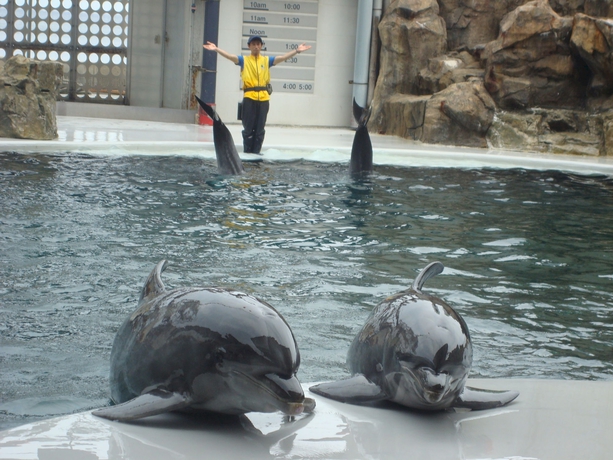 Imagen de los exteriores del Hotel Kawaguchiya Kinosaki Riverside. Foto 11