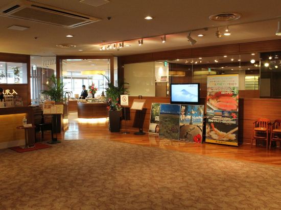 Imagen de los interiores del Hotel Kawasaki Nikko. Foto 12