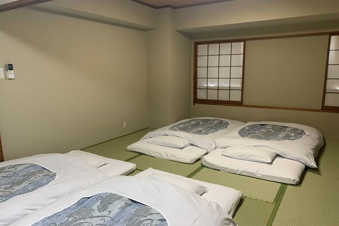 Imagen general del Hotel Kawasaki Park. Foto 2