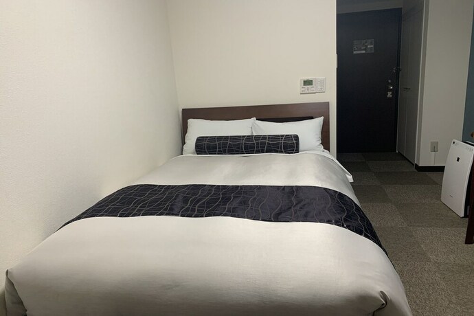 Imagen de la habitación del Hotel Kawasaki Park. Foto 12