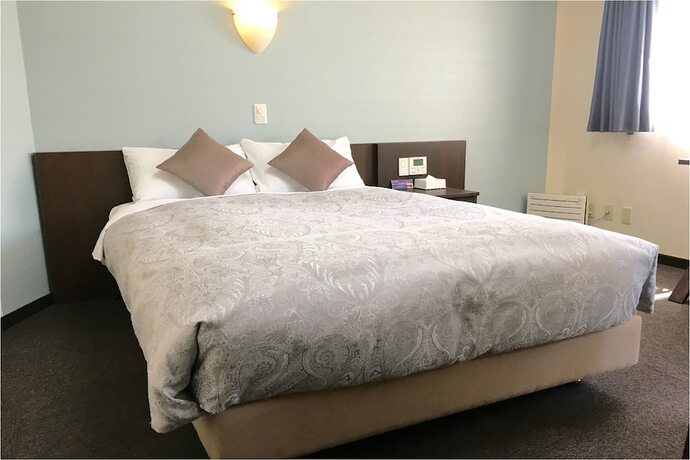 Imagen de la habitación del Hotel Kawasaki Park. Foto 14
