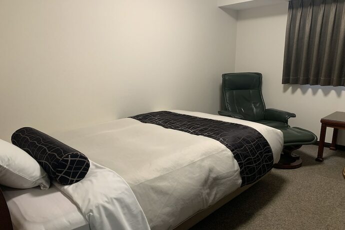 Imagen de la habitación del Hotel Kawasaki Park. Foto 19