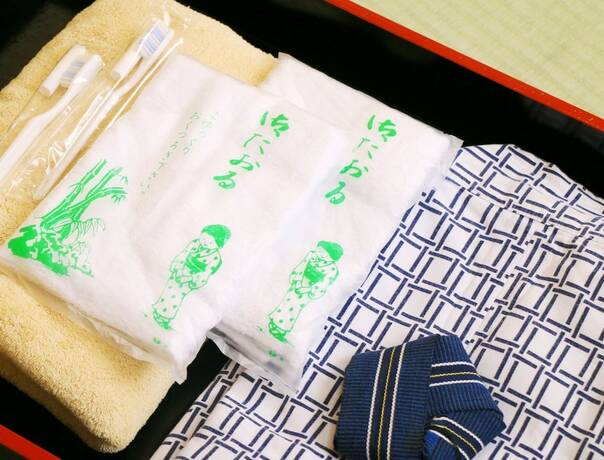 Imagen de la habitación del Hotel Kawatatsu. Foto 19