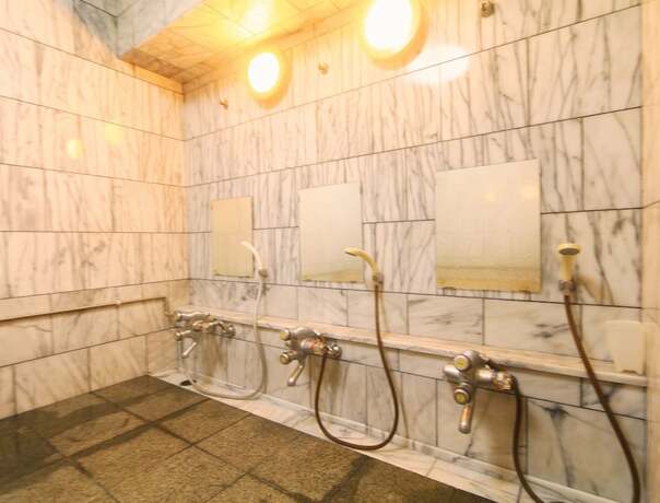 Imagen general del Hotel Kawatatsu. Foto 13