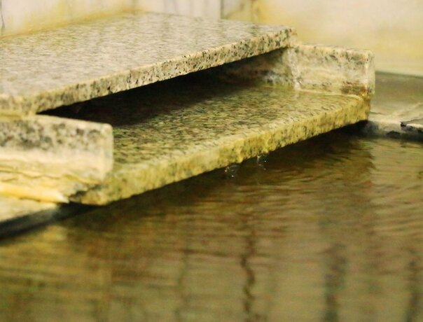 Imagen general del Hotel Kawatatsu. Foto 14