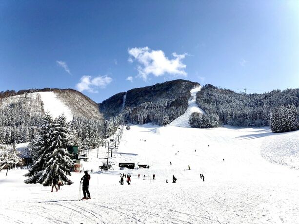 Imagen general del Hotel Kawatatsu. Foto 15