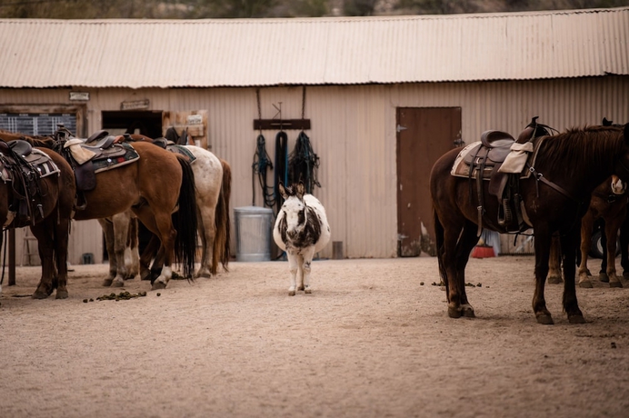 Imagen general del Hotel Kay El Bar Guest Ranch. Foto 3