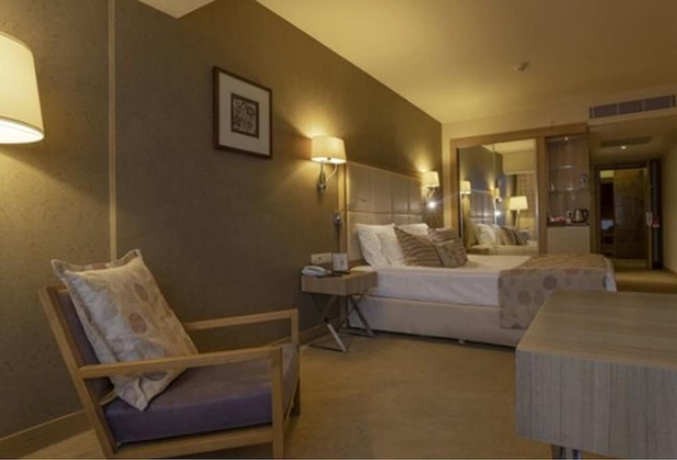 Imagen de la habitación del Hotel Kaya Izmir Thermal and Convention. Foto 12