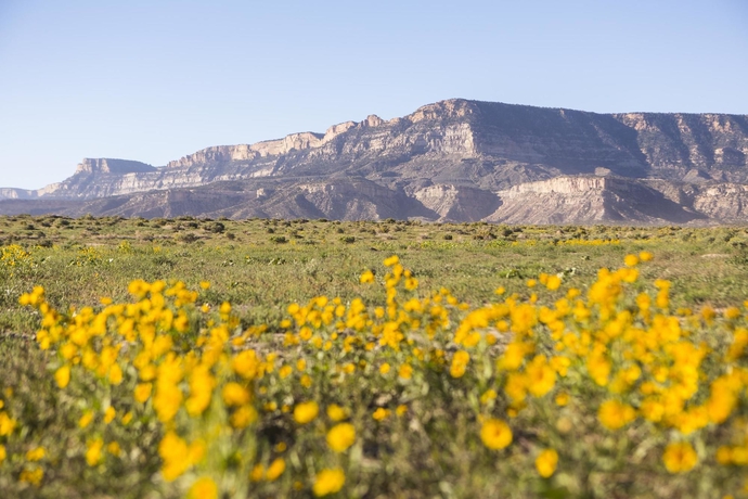 Imagen general del Hotel Kayenta Monument Valley Inn. Foto 3