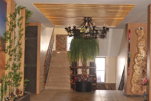 Imagen general del Hotel Kayi Snow. Foto 10