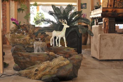 Imagen general del Hotel Kayi Snow. Foto 12