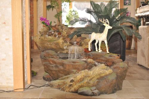 Imagen general del Hotel Kayi Snow. Foto 13