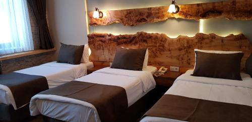 Imagen de la habitación del Hotel Kayi Snow. Foto 17