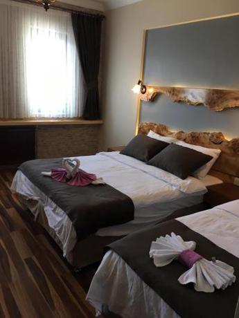 Imagen de la habitación del Hotel Kayi Snow. Foto 19