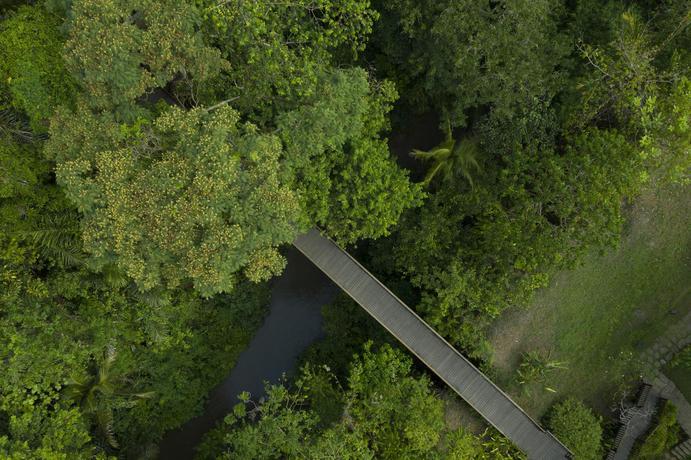 Imagen general del Hotel Kayumanis Ubud Private Villas and Spa - Chse Certified. Foto 14