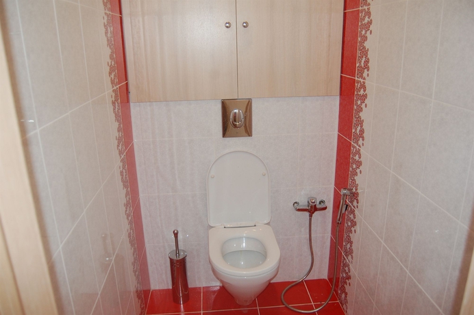 Imagen de la habitación del Hotel Kazan Sky Apartments. Foto 10