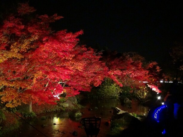 Imagen de los exteriores del Hotel Kaze No Tani No Iori. Foto 36