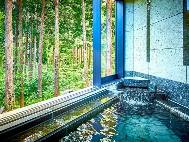 Imagen general del Hotel Kazeno Kaori Mori Premier. Foto 4