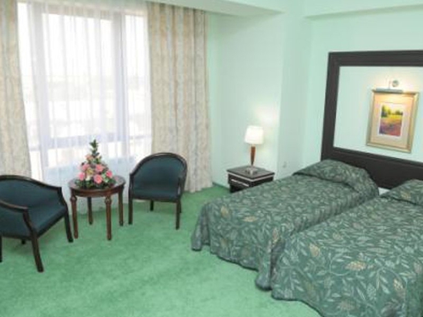 Imagen general del Hotel Kazzhol Almaty. Foto 7