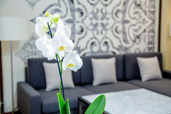 Imagen de la habitación del Hotel Kazzhol Park. Foto 6