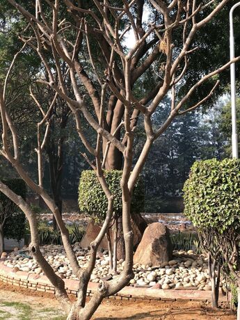 Imagen general del Hotel Kcg Heritage. Foto 4