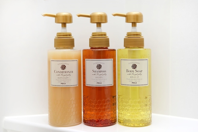 Imagen de la habitación del Hotel Keio Presso Inn Akasaka. Foto 12