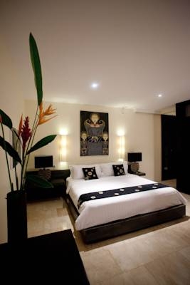 Imagen de la habitación del Hotel Kelapa Retreat and Spa. Foto 6