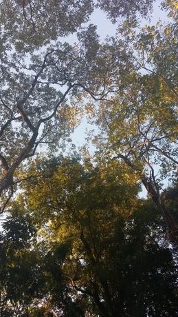 Imagen de los exteriores del Hotel Kelta Puerto Iguazu. Foto 14