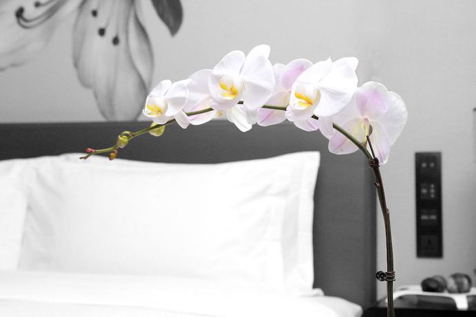 Imagen de la habitación del Hotel Kempinski Changsha. Foto 11