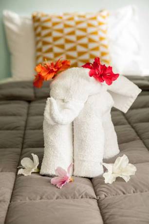 Imagen de la habitación del Hotel Kempsey Rose Motor Inn. Foto 3