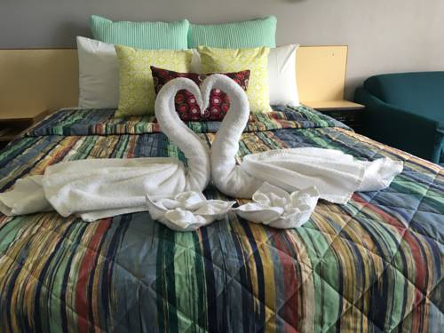 Imagen de la habitación del Hotel Kempsey Rose Motor Inn. Foto 6