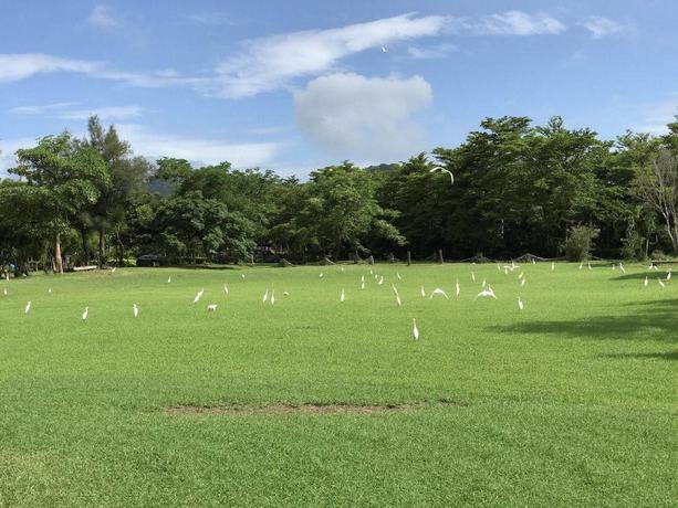 Imagen general del Hotel Ken-Ting My Chateau Hotel. Foto 7