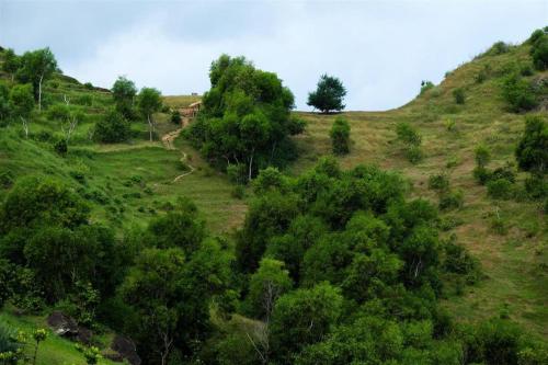 Imagen general del Hotel Kenari Asri. Foto 5