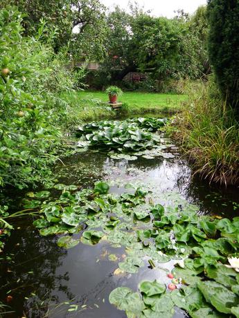 Imagen de los exteriores del Hotel Kenilworth Garden Accommodation. Foto 9
